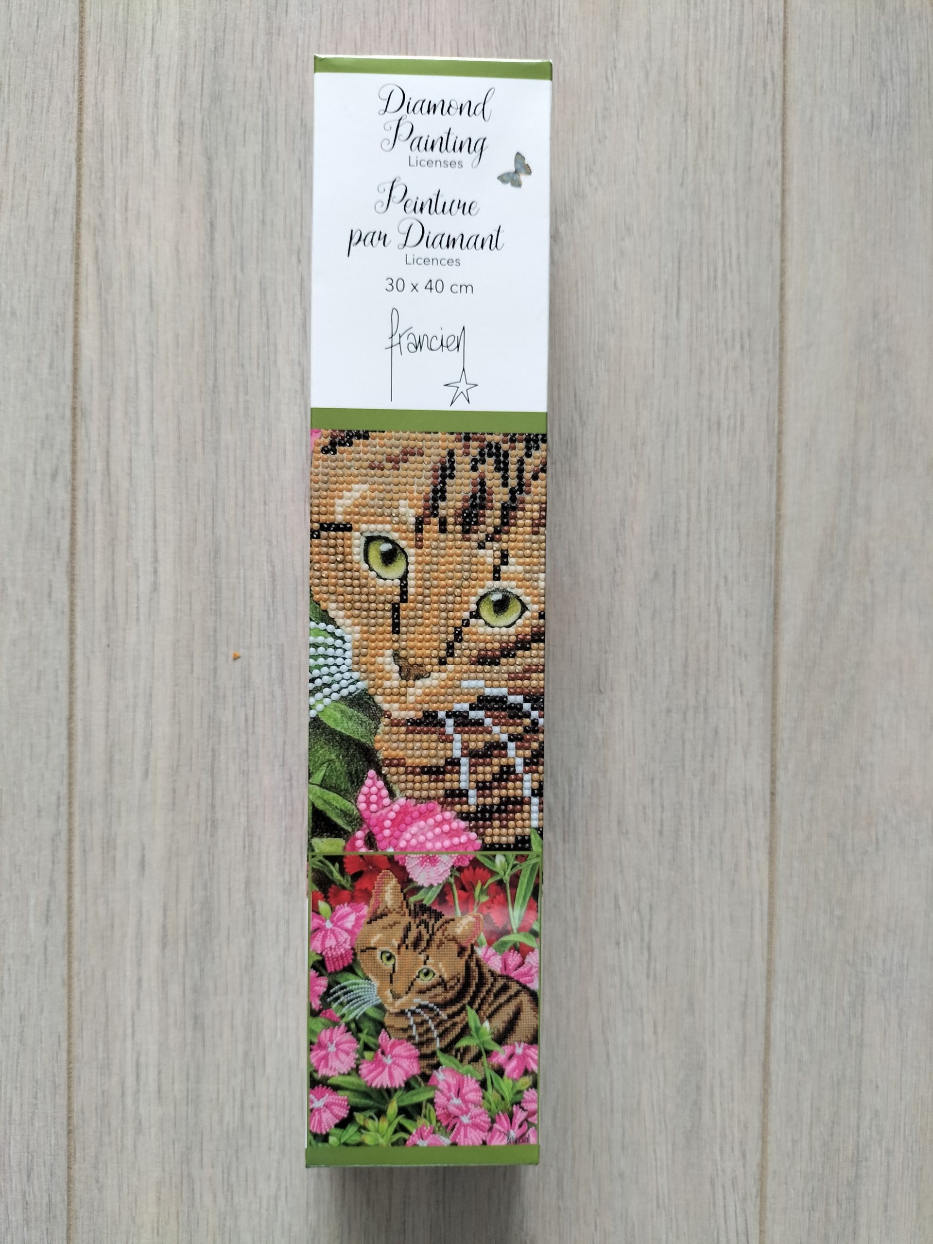 Diamond Painting set - Franciens Katten Art.nr. 2025/1002