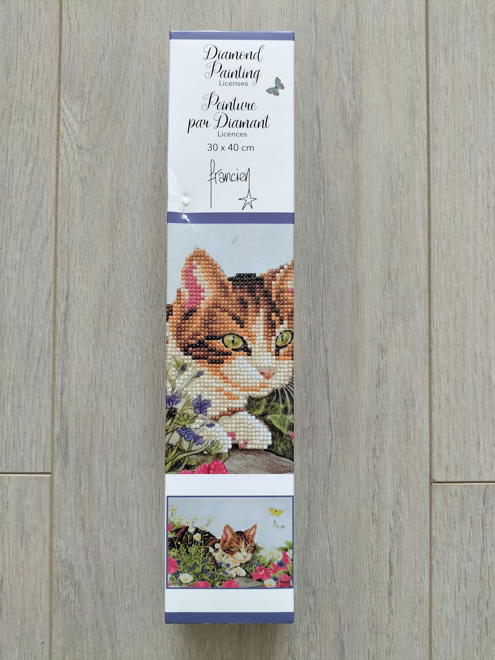 Diamond Painting set - Franciens Katten Art.nr. 2025/1001