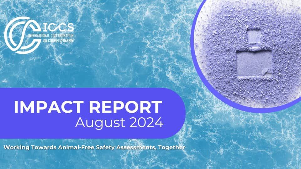 The cover of the impact report for august 2024 has a picture of ocean waves on it.