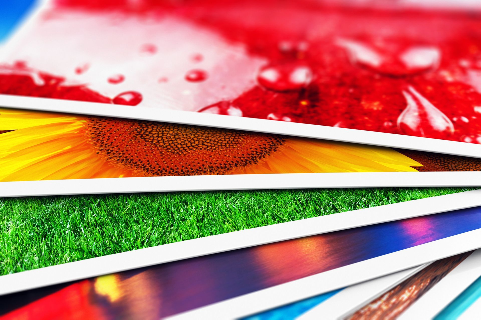 A close up of a stack of pictures with a sunflower in the middle