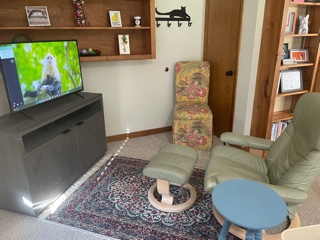 Living room: TV on gray console, green recliner with footrest, floral patterned chairs, and small blue side table.