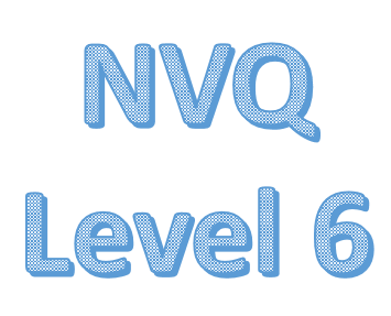 NVQ Level 6 Professionals