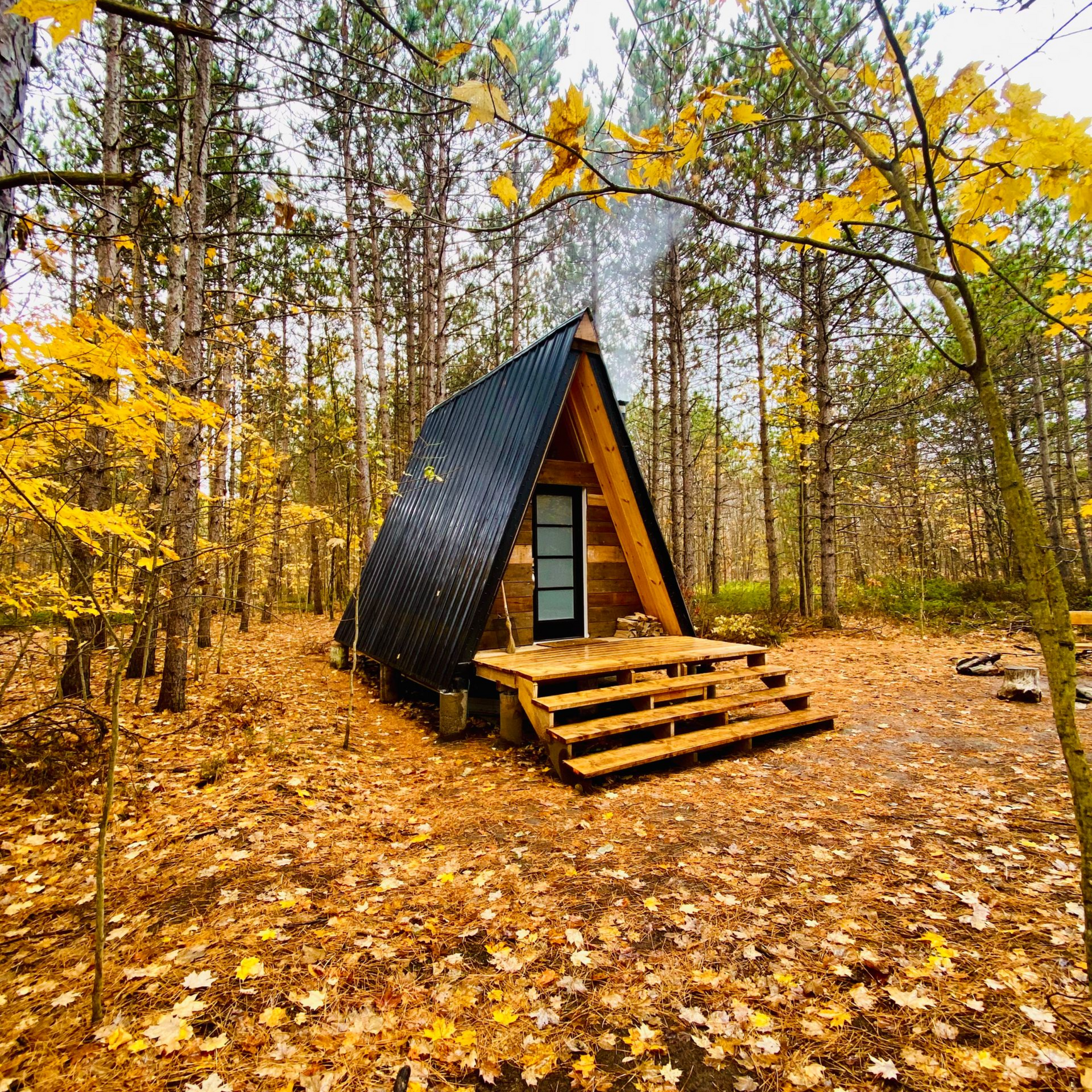 A-frame cabin nestled in autumn woods; yellow leaves surround the building, smoke rising from the chimney.