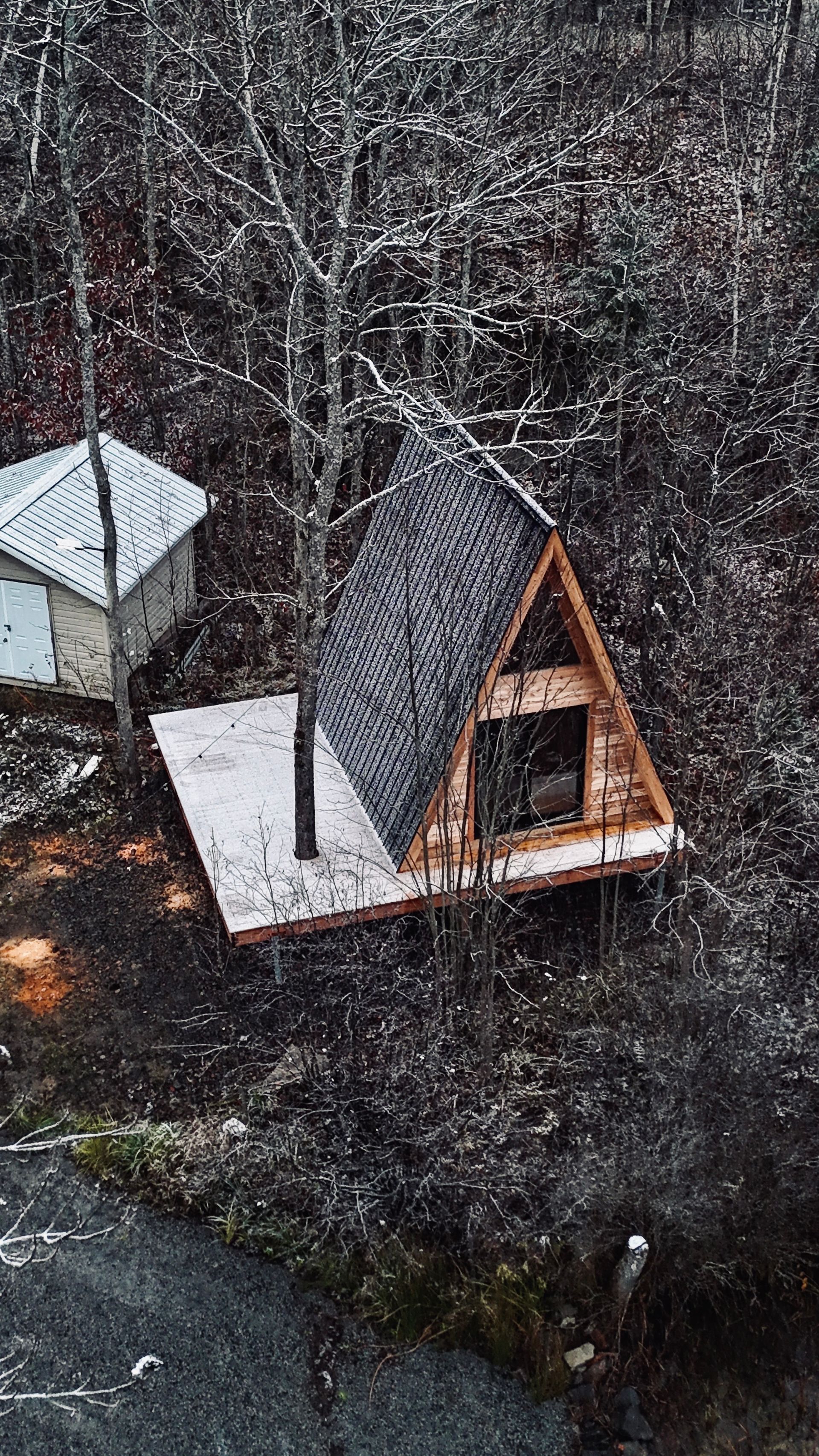 A-frame cabin built around a tree, nestled in a wooded area with snow.