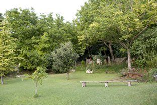 verde dell'agriturismo