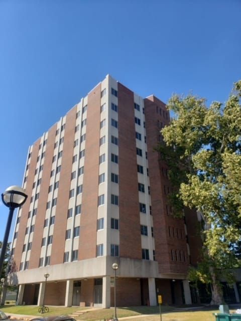 Tall brick building with many windows under a blue sky, tree on the right, and lamppost on the left.