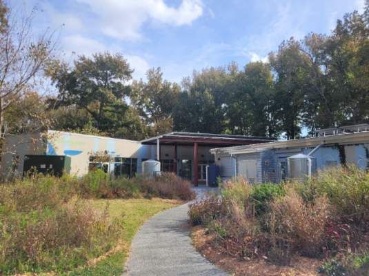 Pathway leading to a low building among overgrown vegetation, trees in the background, under a blue sky.