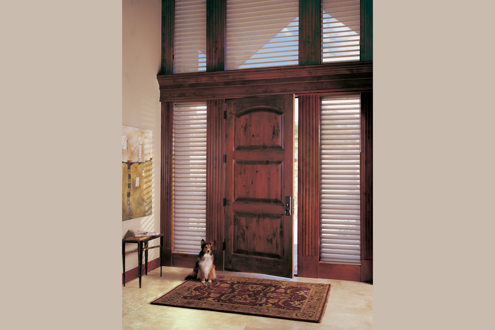 Dog sits on rug near a wooden door with sidelights, blinds drawn; an interior shot.