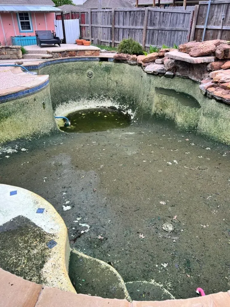 An algae-filled, empty swimming pool needing cleaning. Brown, green, and white colors dominate the space.