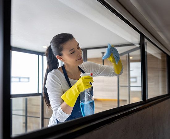 Woman Cleaning — Champaign, IL — Illini Cleaning Services