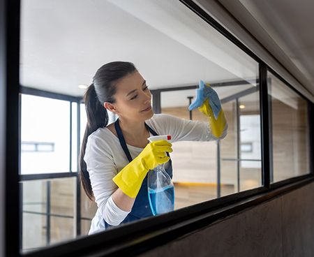 Woman Cleaning — Champaign, IL — Illini Cleaning Services