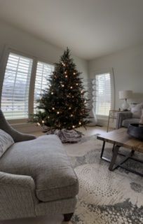 Living Room Cleaning | Illini Cleaning Services | Champaign, IL