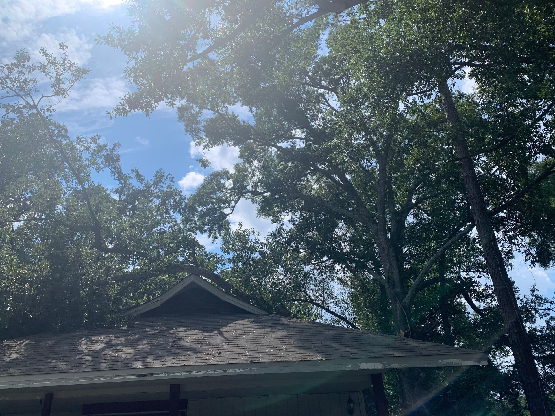 A house with a roof that is surrounded by trees and a blue sky.
