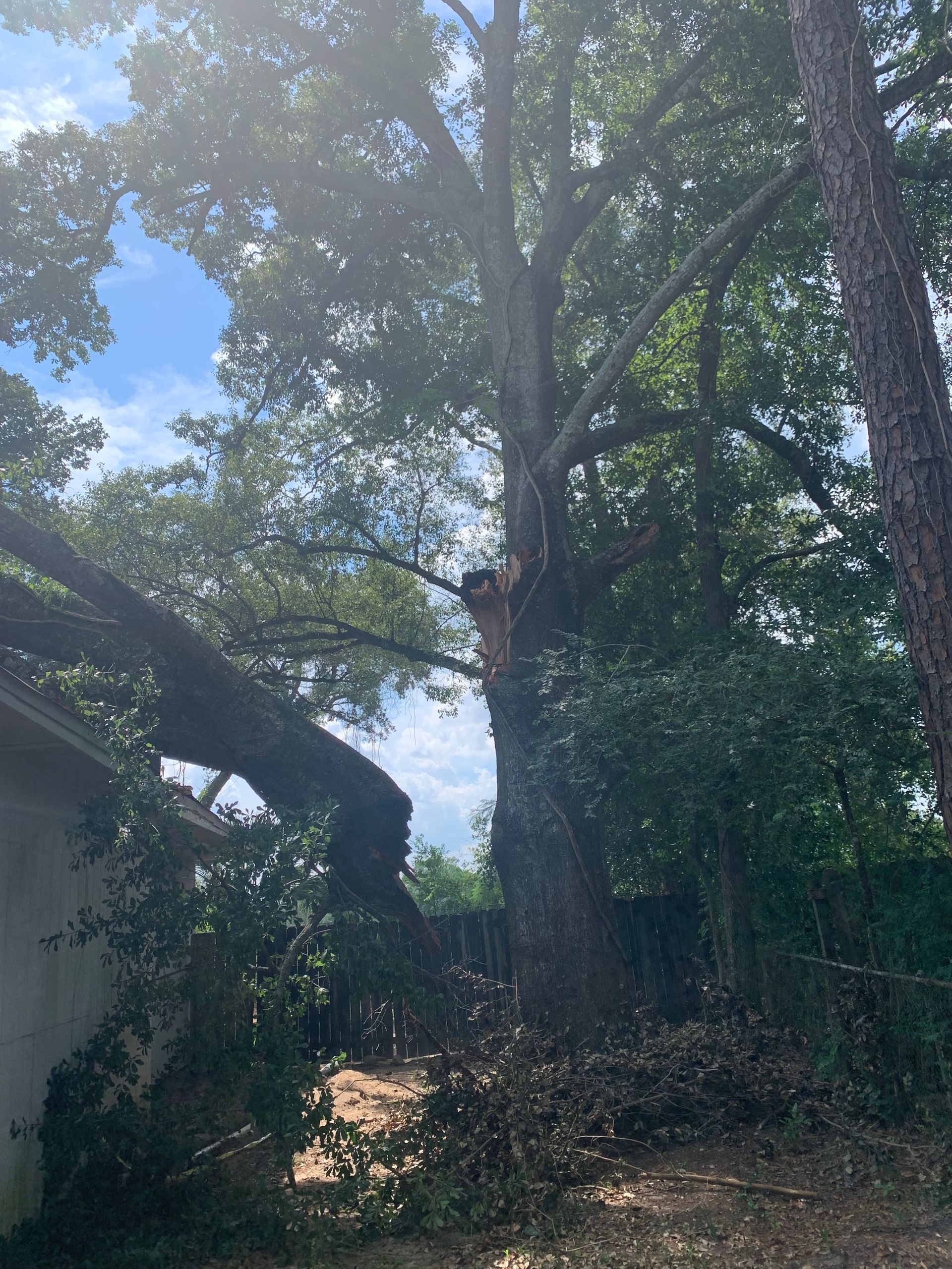 A large tree has fallen on a house in the backyard.