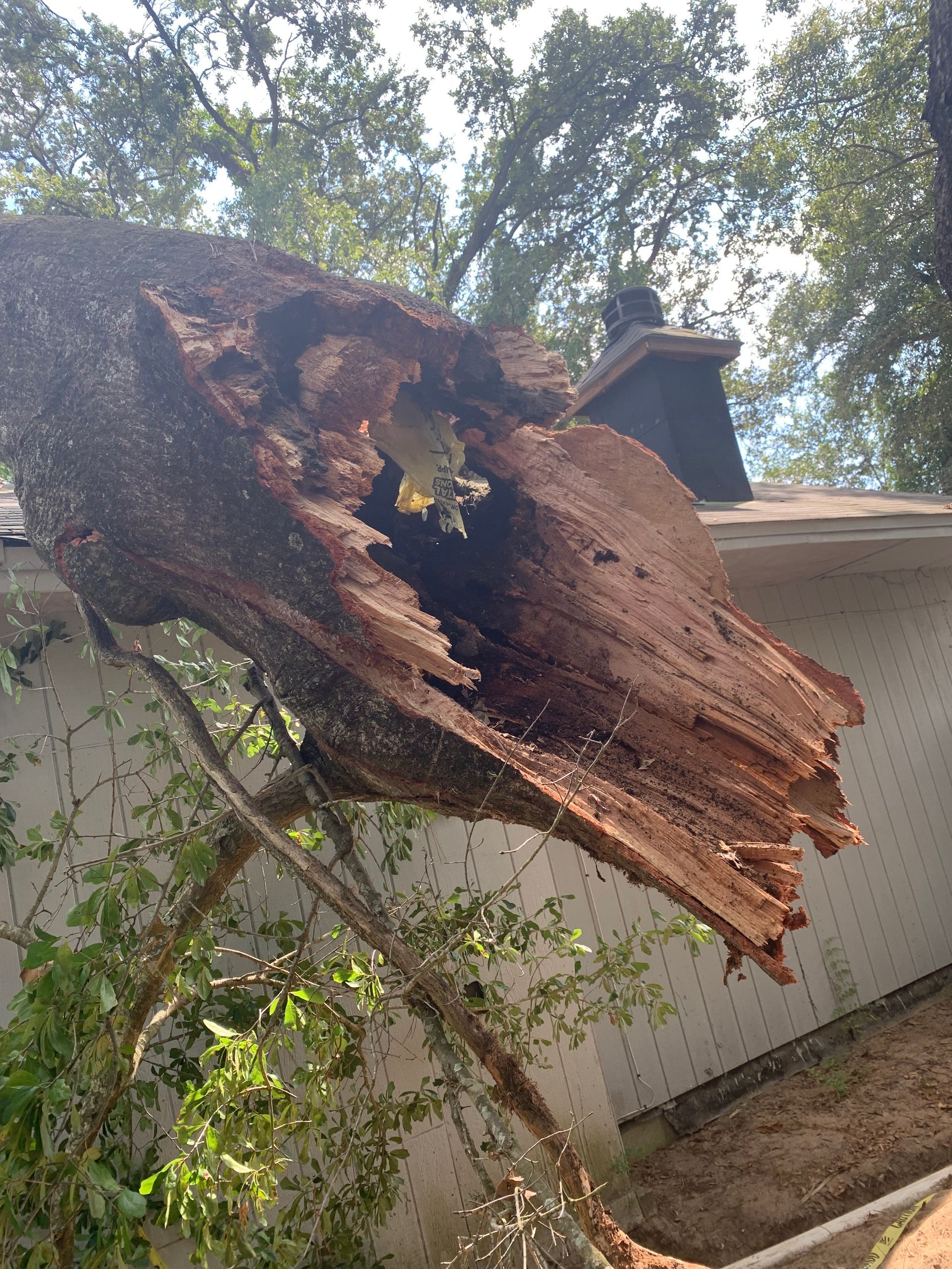 A large tree stump is laying on the ground in front of a house.