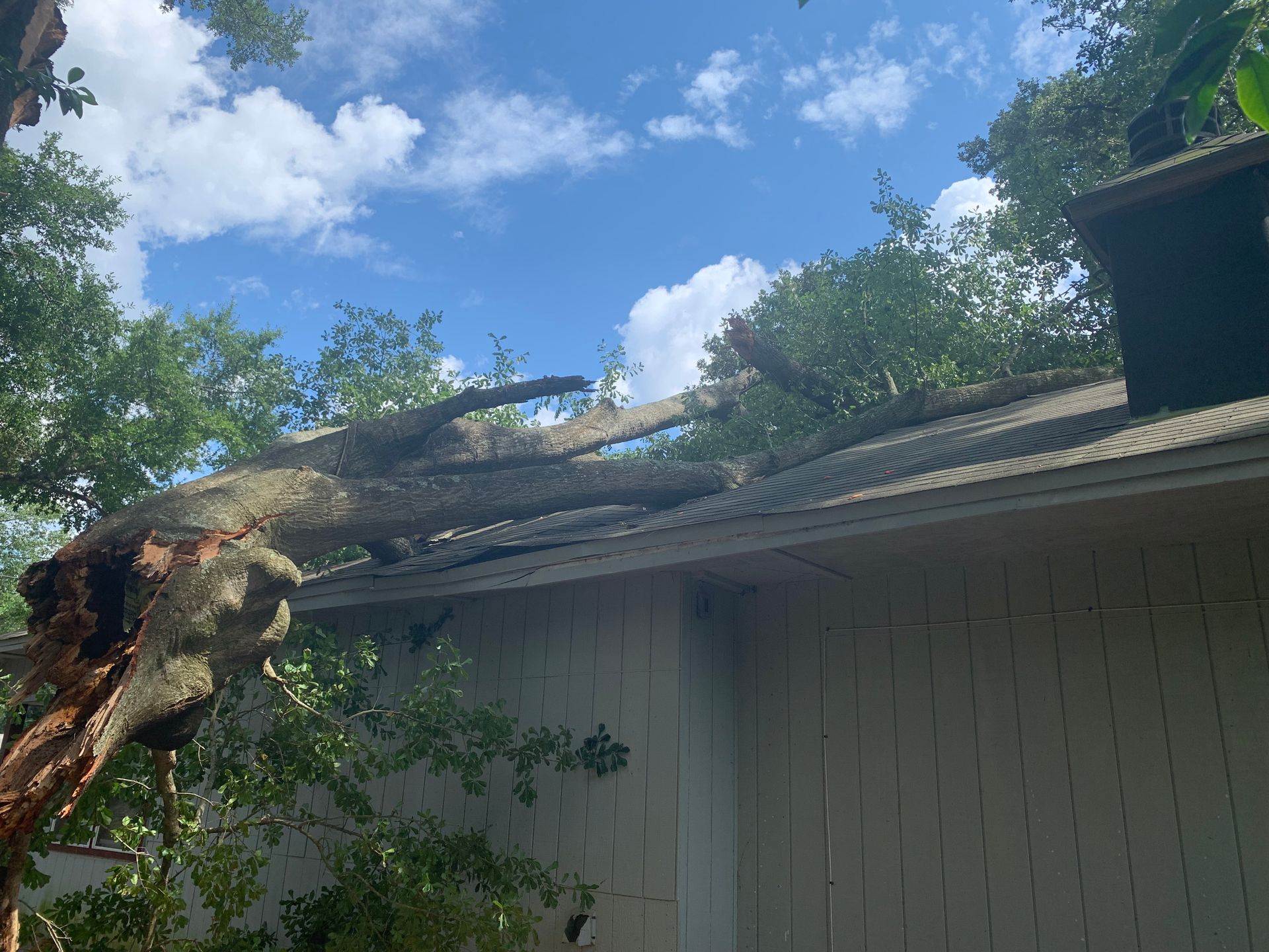 A tree has fallen on the roof of a house.