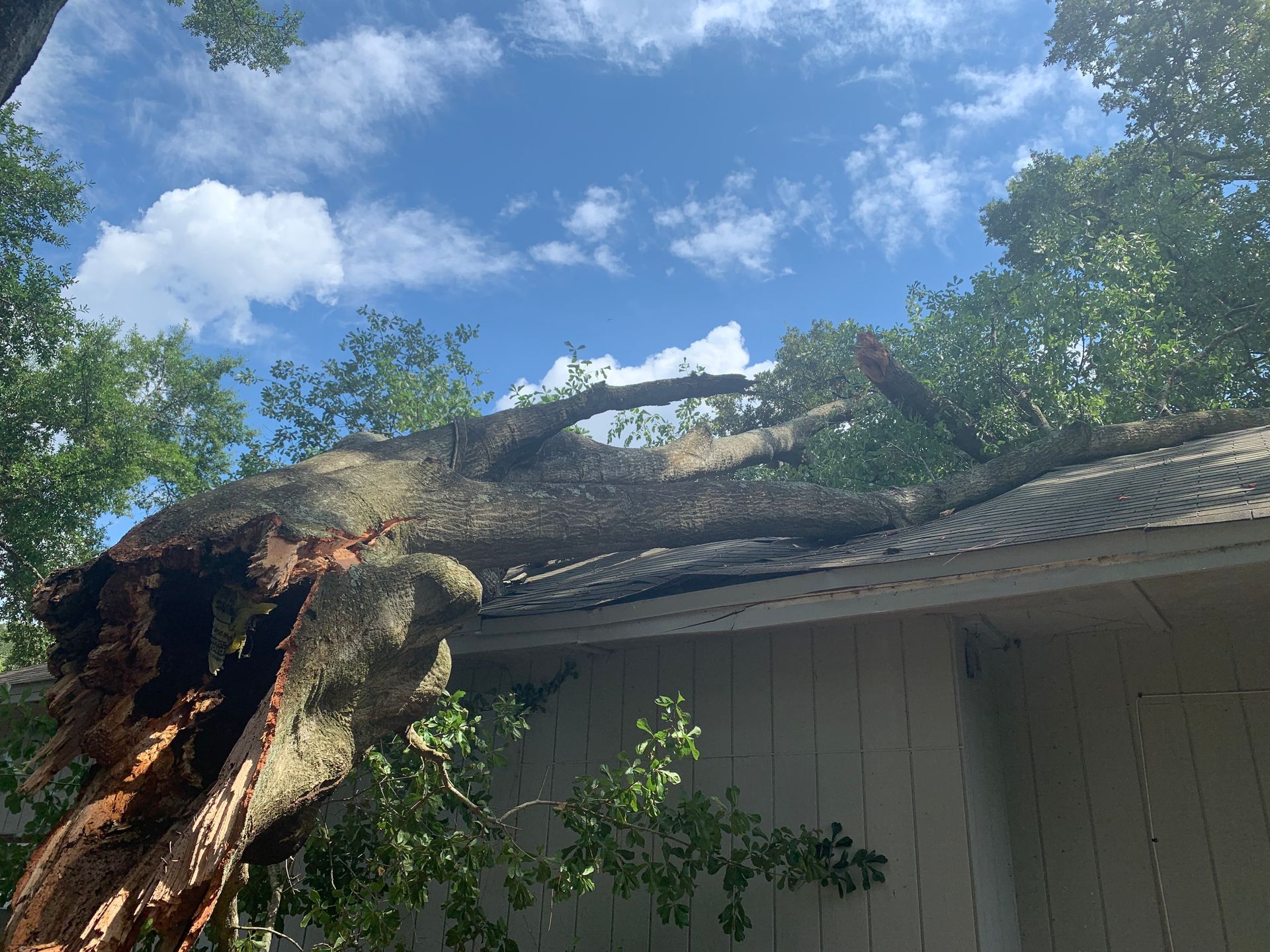 A large tree has fallen on the roof of a house.