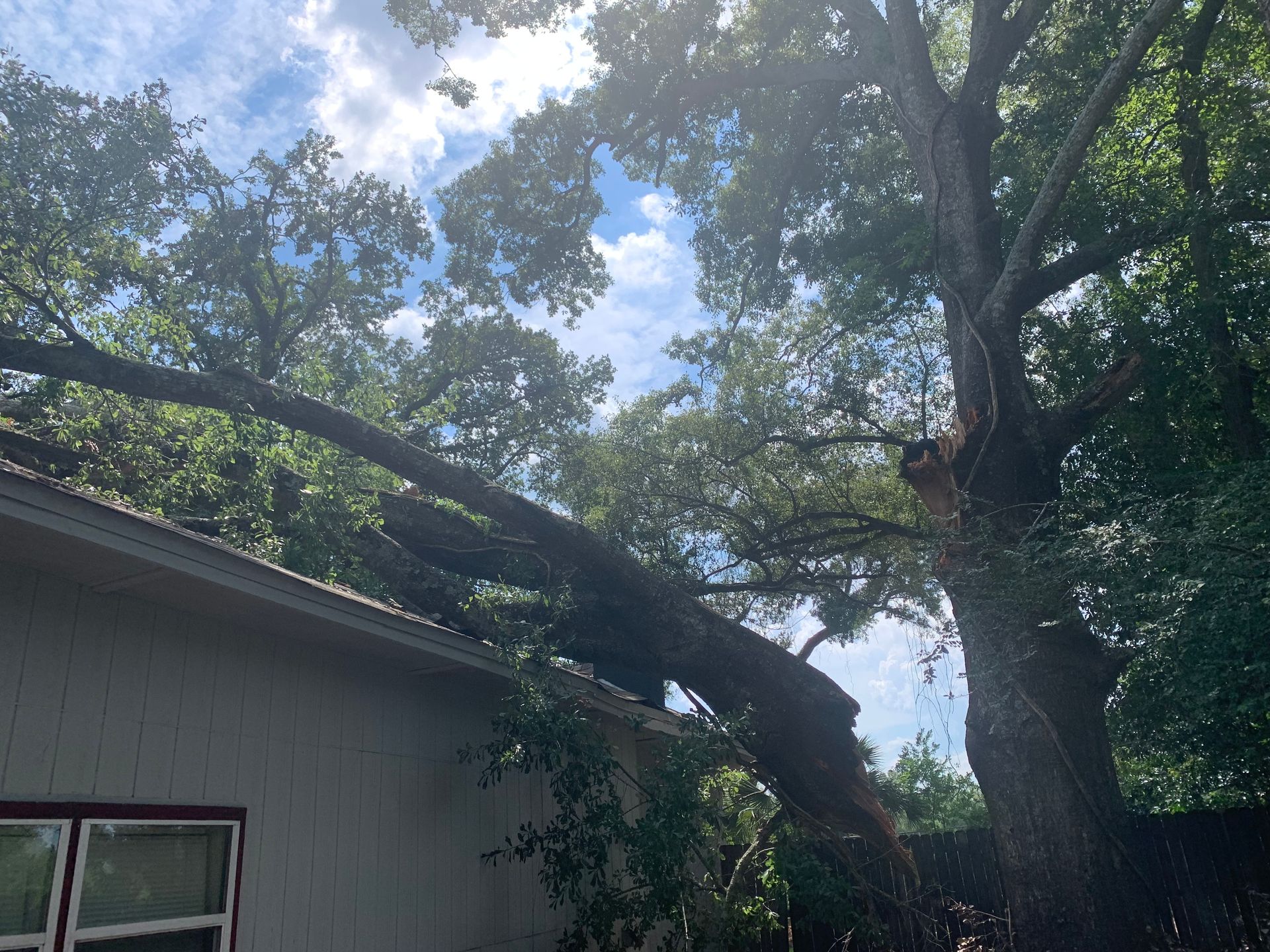 A large tree has fallen on top of a house.