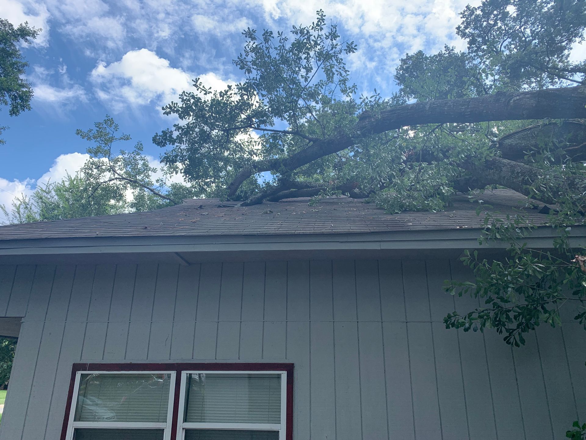 A tree has fallen on the roof of a house.