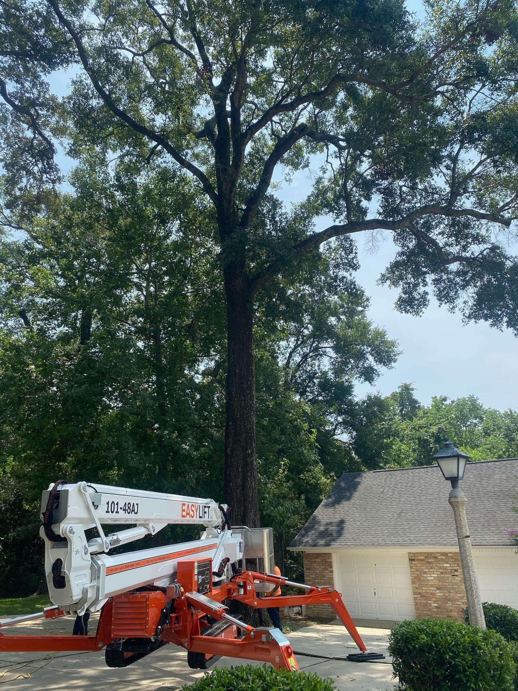 A crane is cutting a tree in front of a house.