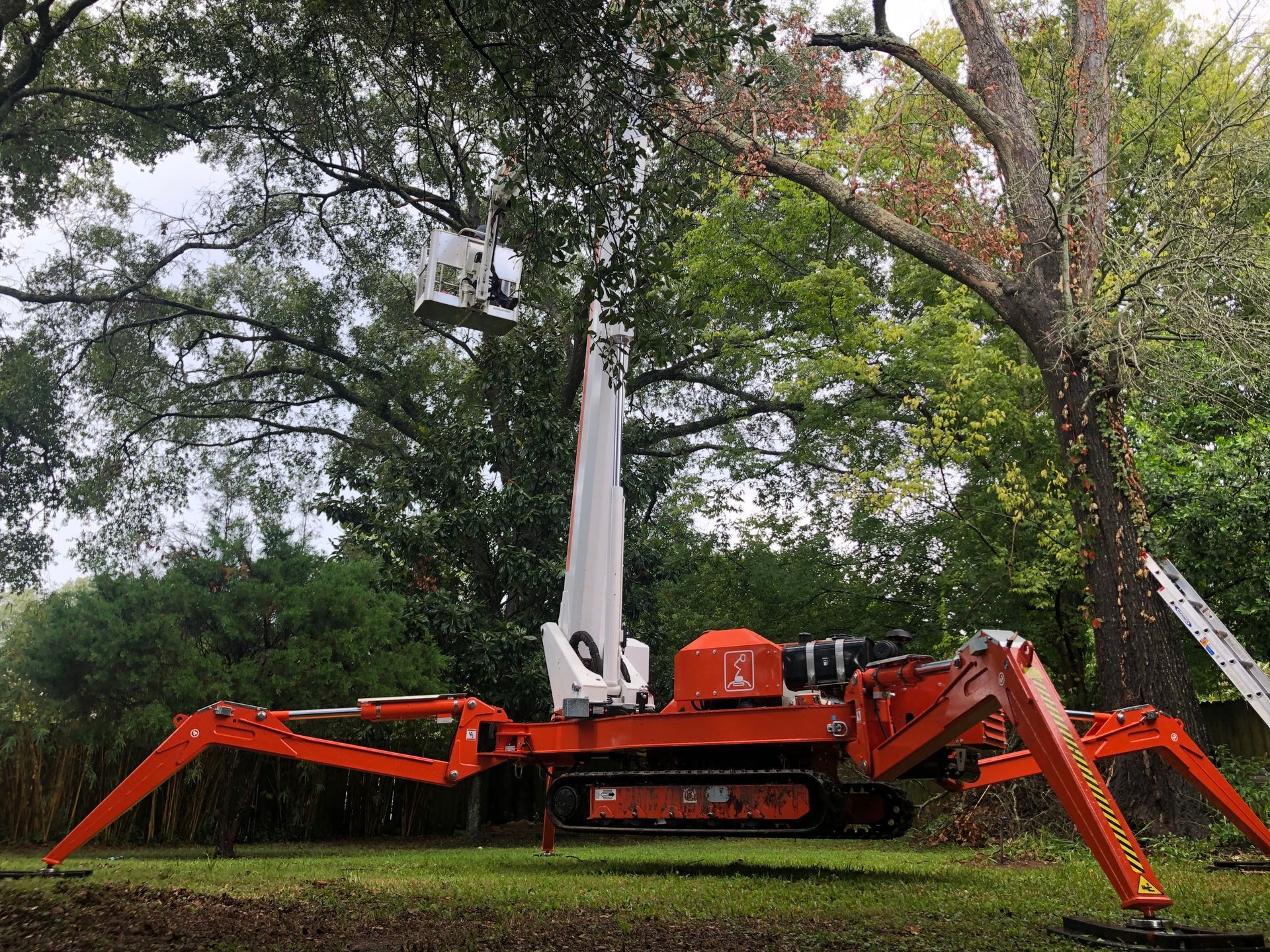 A crane is cutting a tree in a park.