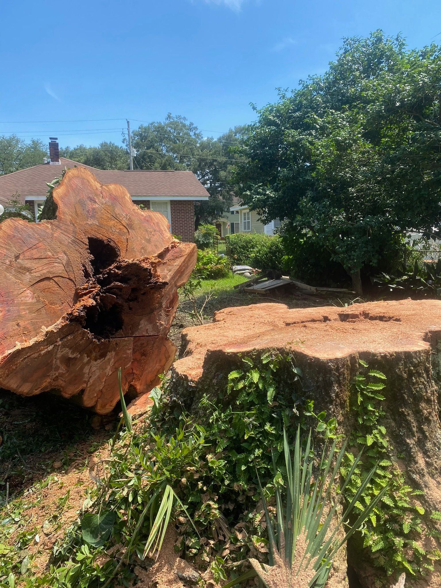 A large tree stump in a yard with a house in the background.