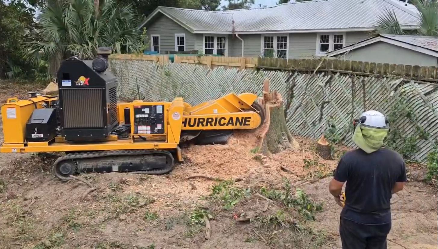 A man is standing in front of a hurricane tree stump grinder.