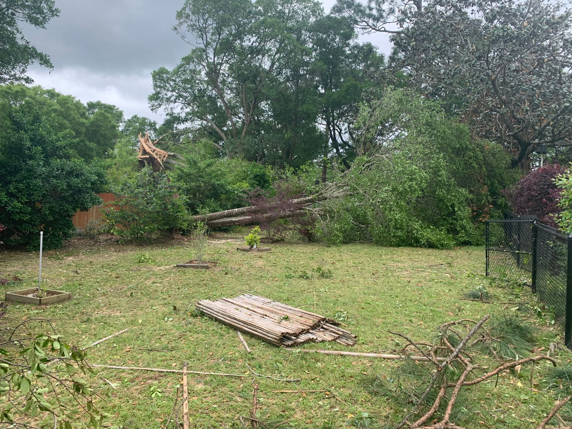 A fallen tree in a yard with a fence and trees in the background.