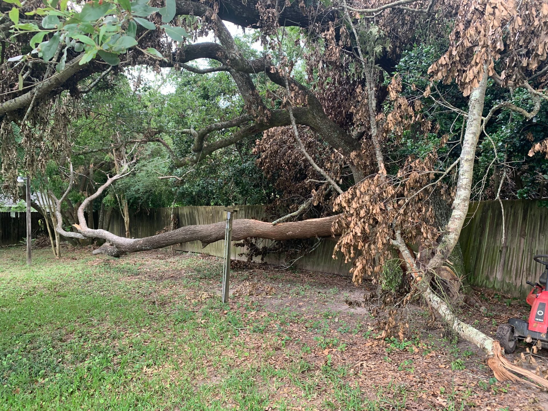 A large tree that has fallen in a yard.