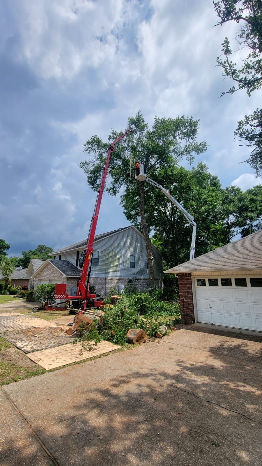 A crane is cutting a tree in front of a house.