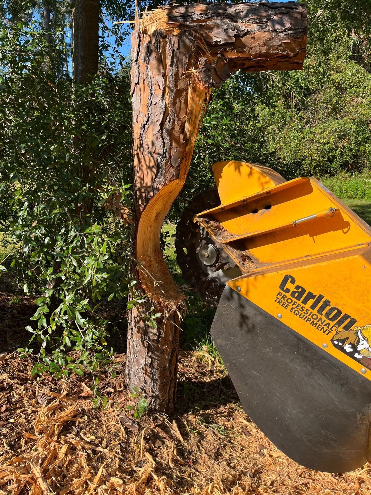 A tree stump is being removed by a machine.