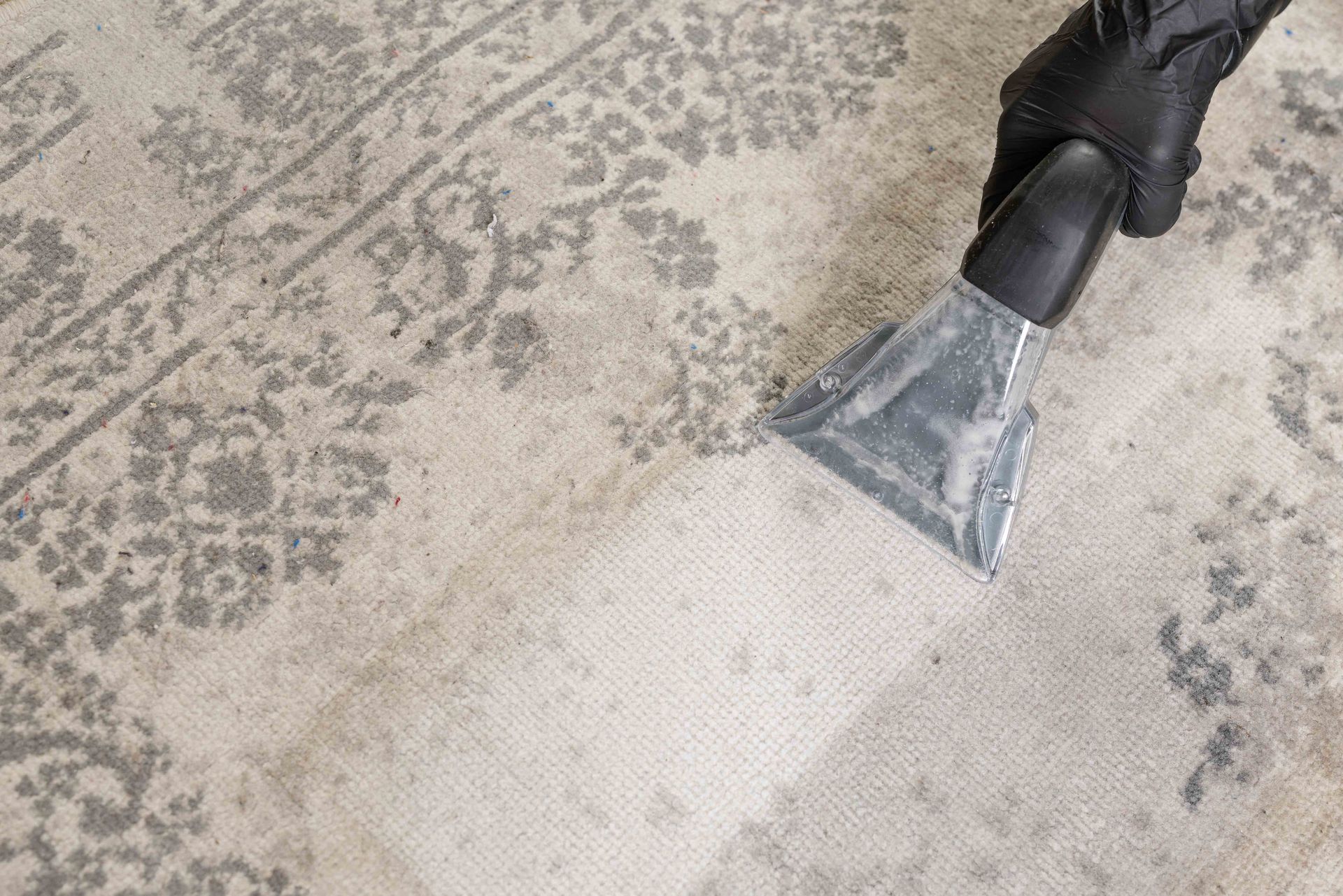 A gloved hand uses a carpet cleaning vacuum attachment to clean a light-colored rug with a gray floral pattern.
