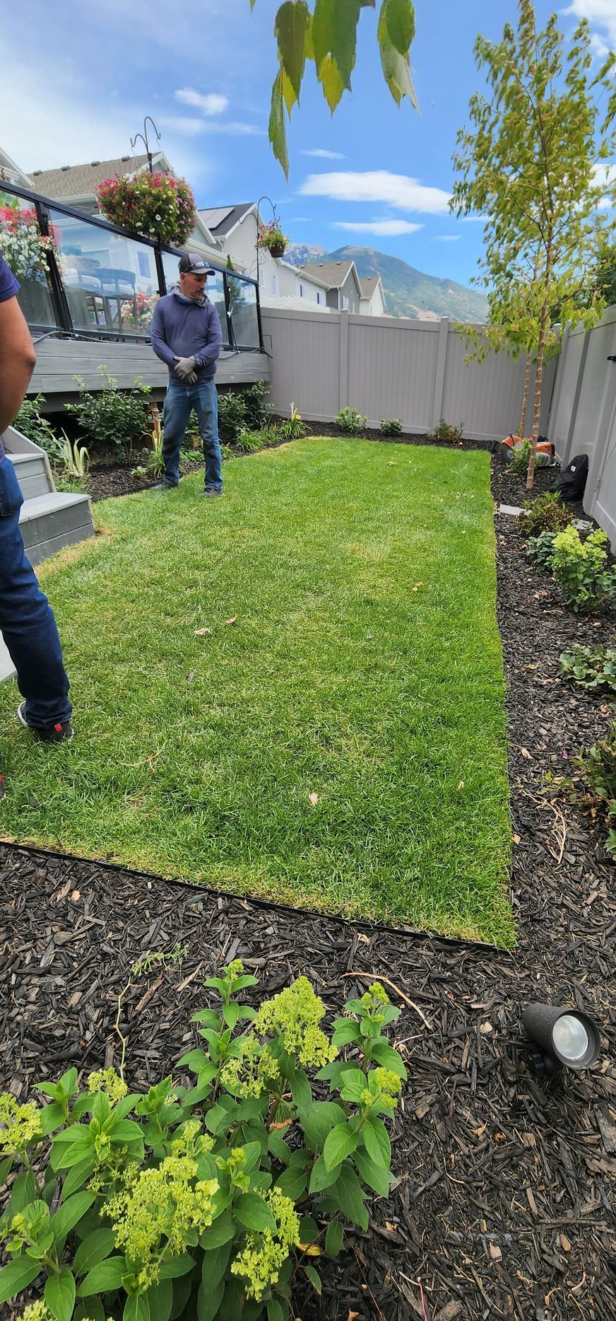 A man is standing in the middle of a lush green lawn.