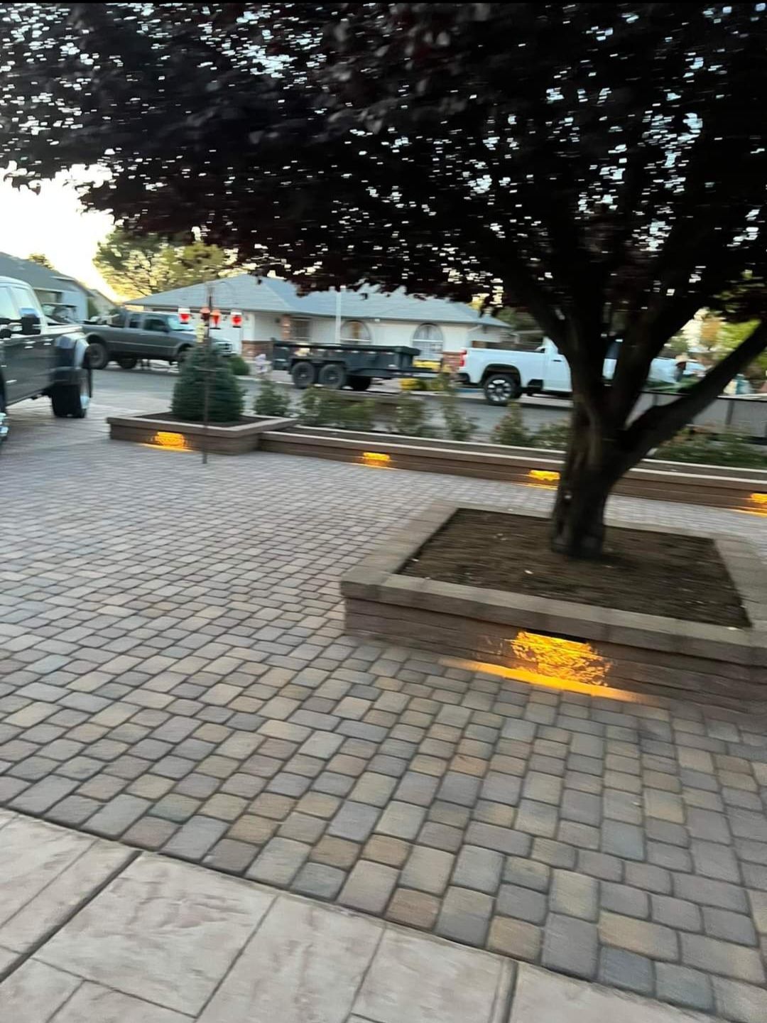 A brick driveway with a tree in the middle of it