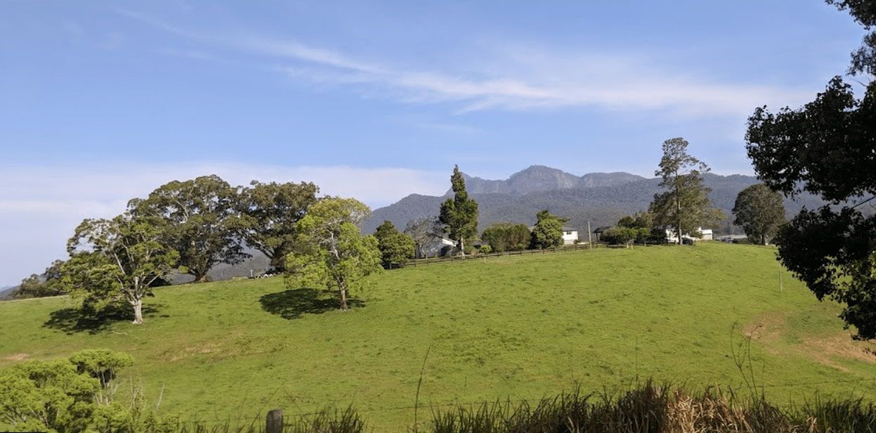A Grassy Hill with Trees and Mountains in The Background — Murwillumbah District Plumbing Service in Tyalgum, NSW