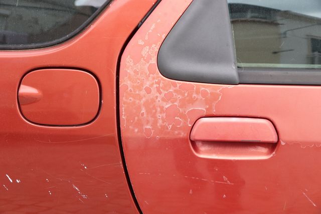 How to remove bugs from your car without damaging its paint - Sea
