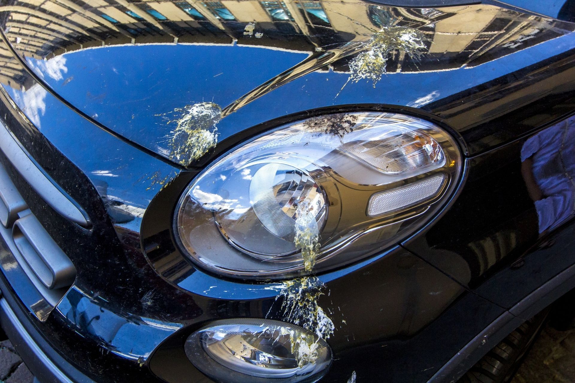5 Everyday Things That Can Damage Your Car’s Paint