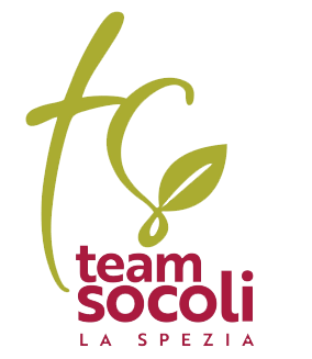 Logo Team Socoli