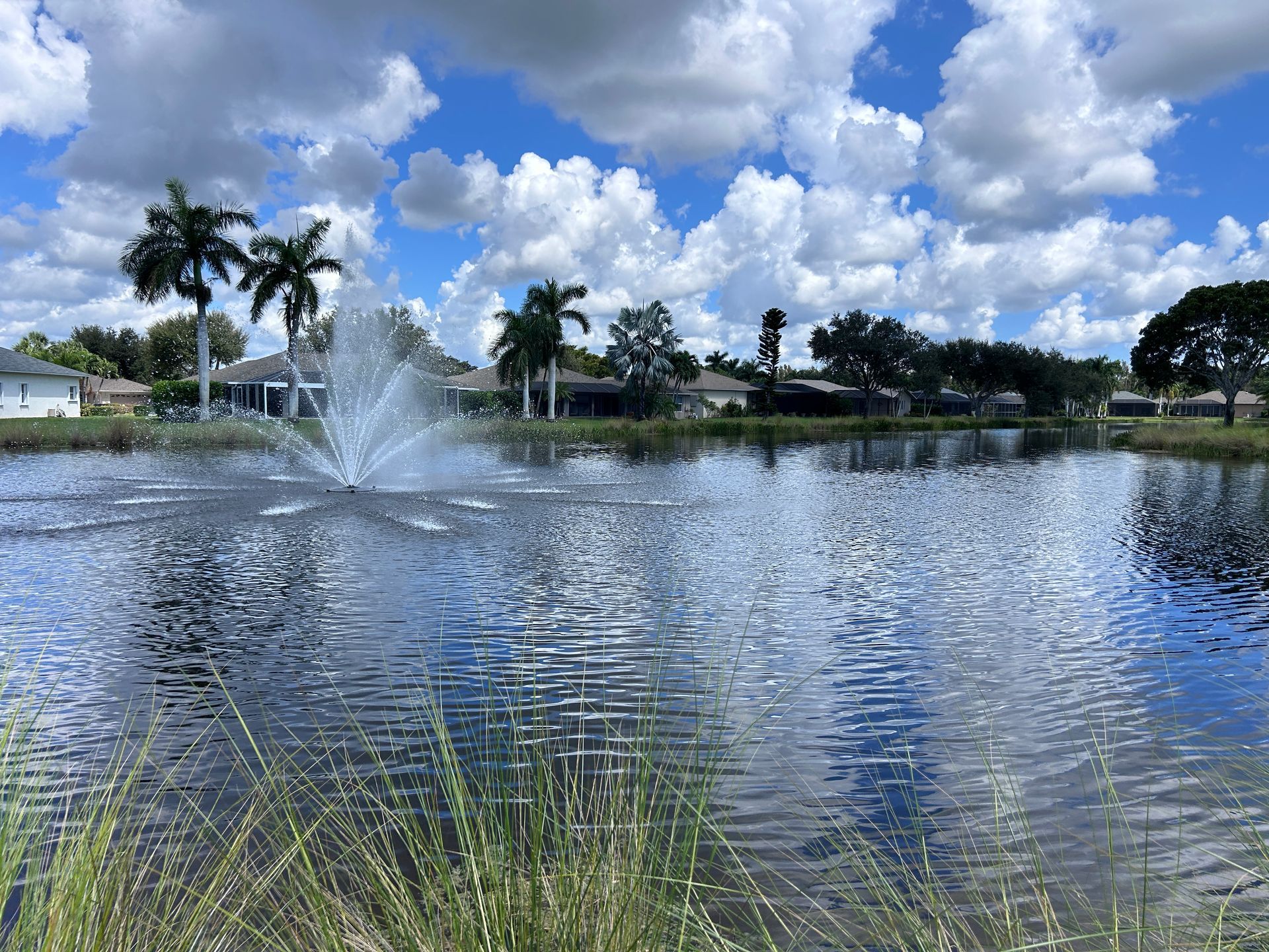 Fountain spraying in a pond with palm trees and cloudy blue sky