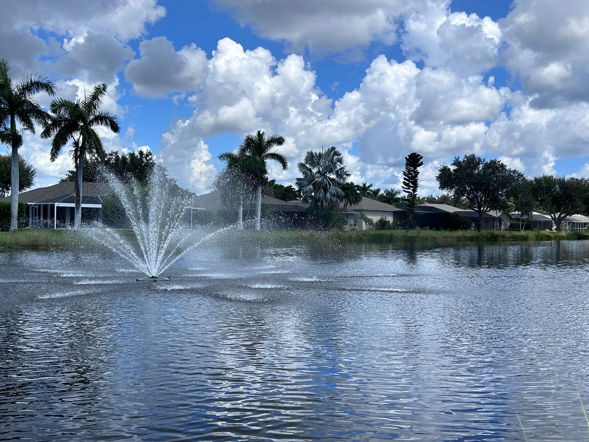 Lake with a water fountain, palm trees, and partly cloudy sky on a sunny day