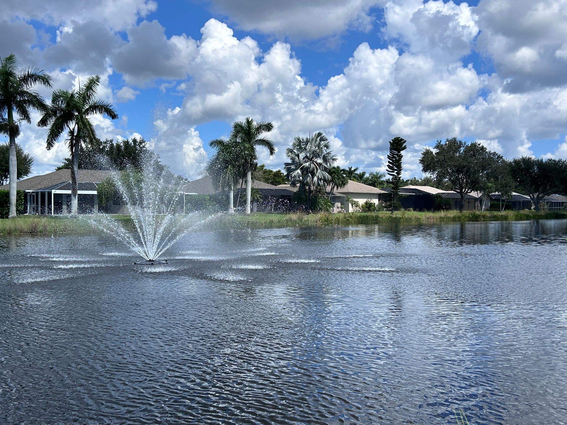 Fountain spraying on a calm pond with palm trees, houses, and cloudy blue sky.