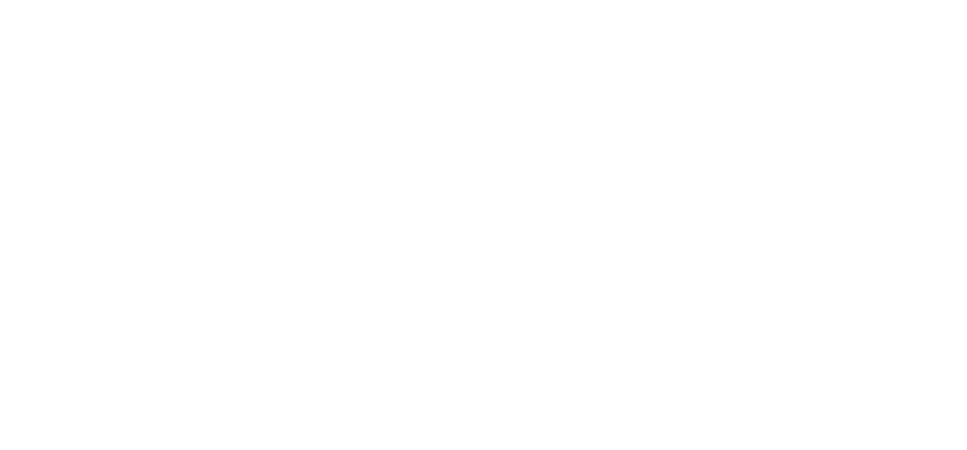 Blank white rectangle with a thin black line along the bottom edge