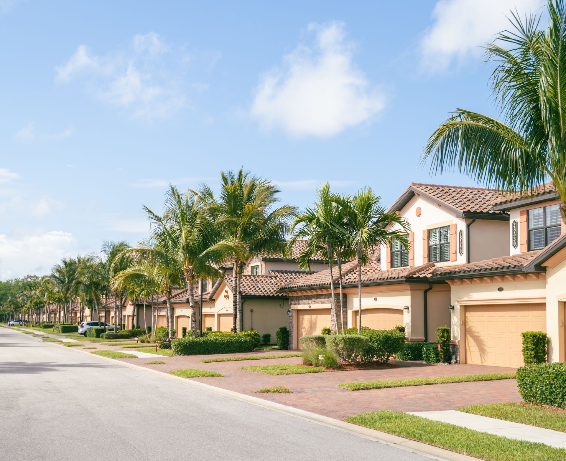Row of tan houses with brown tile roofs and palm trees on a sunny street. Row of tan houses with brown tile roofs and palm trees on a sunny street.