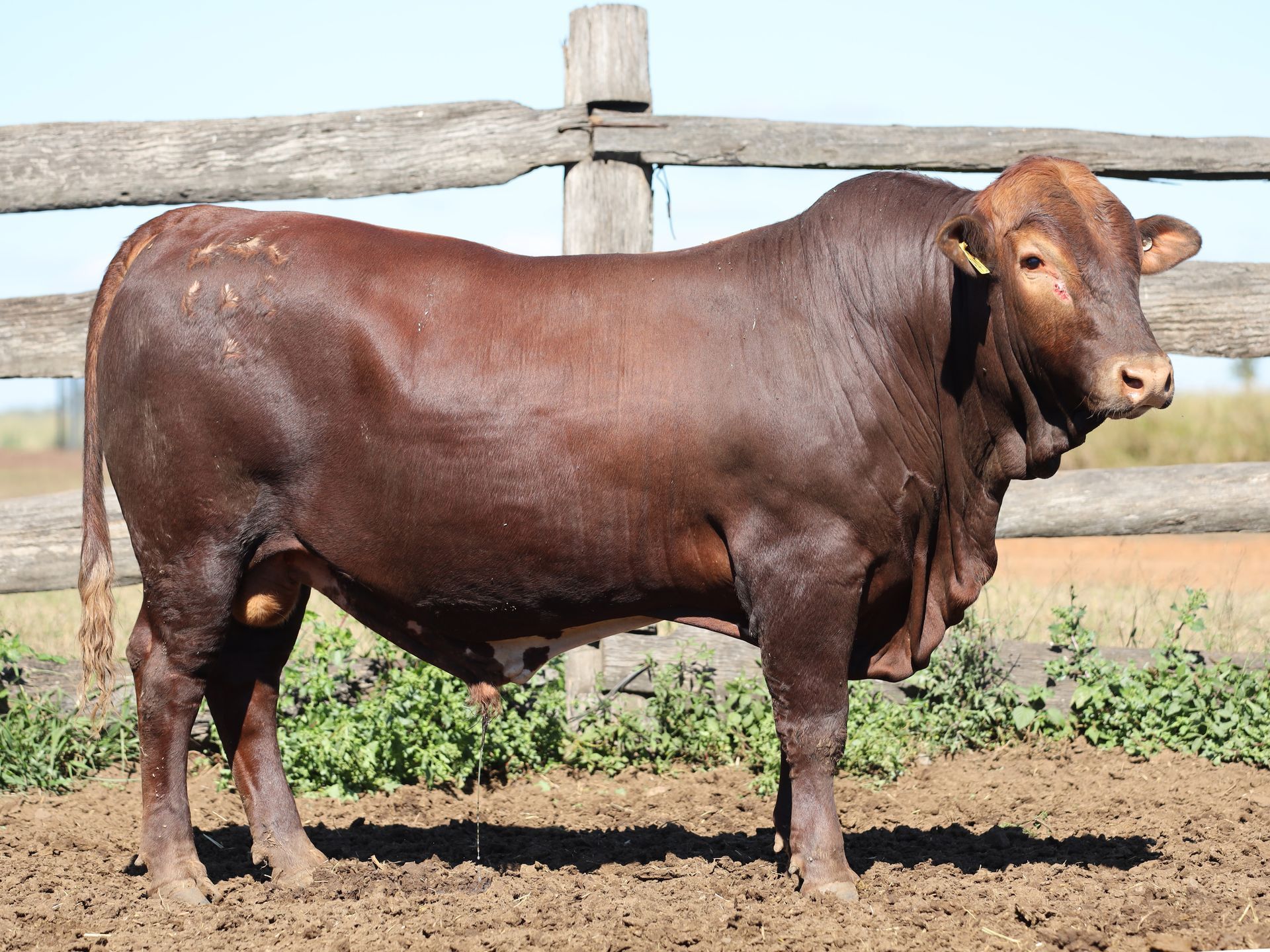 LOT 13 RJS240249