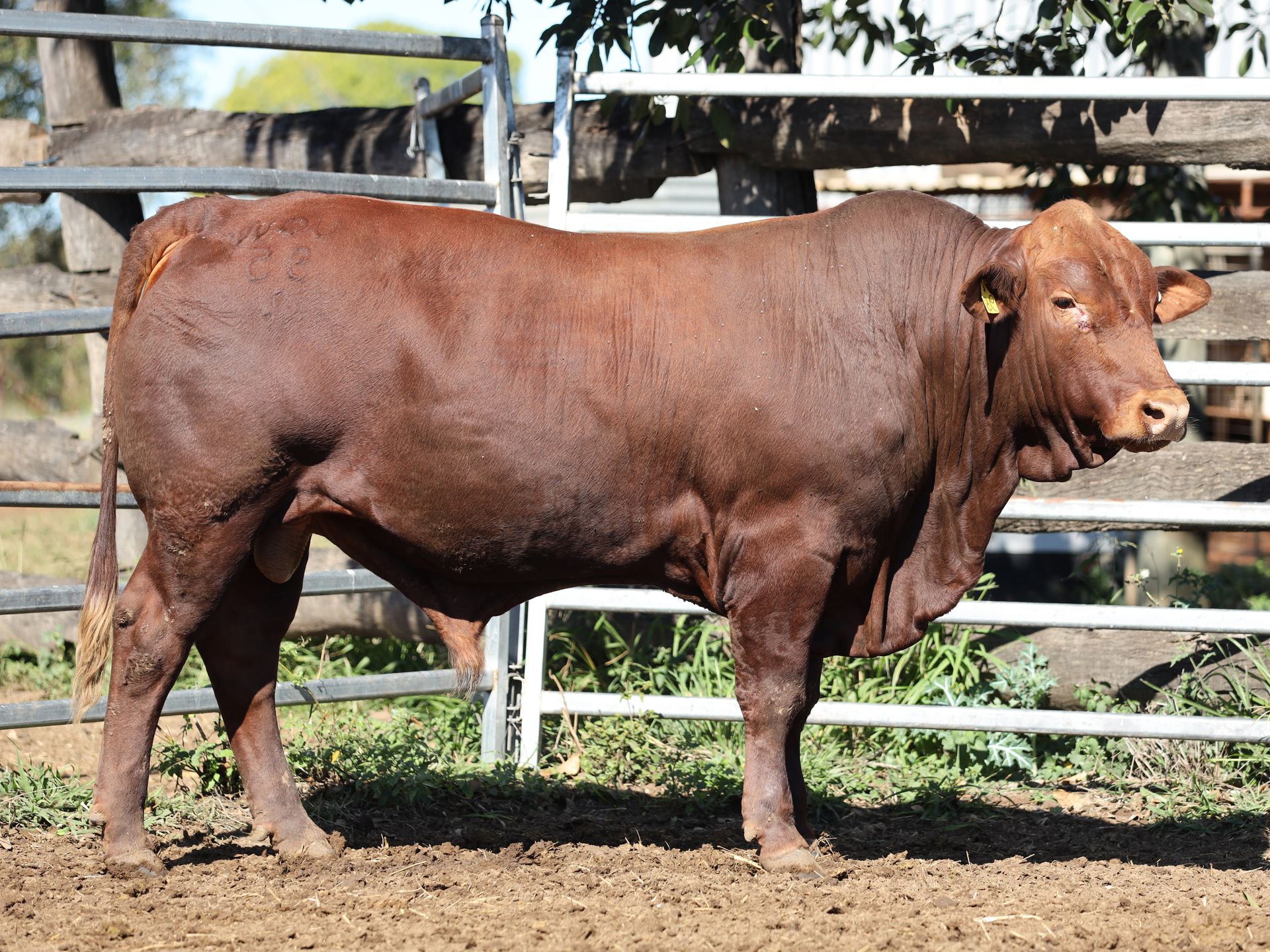 LOT 18 RJS240095