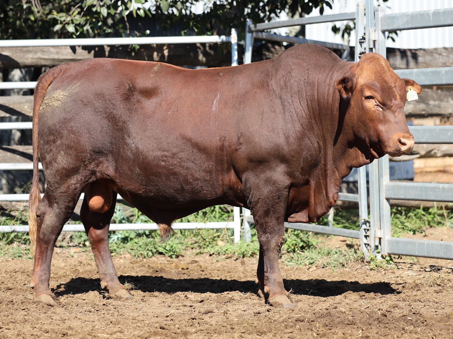LOT 2 RJS240109