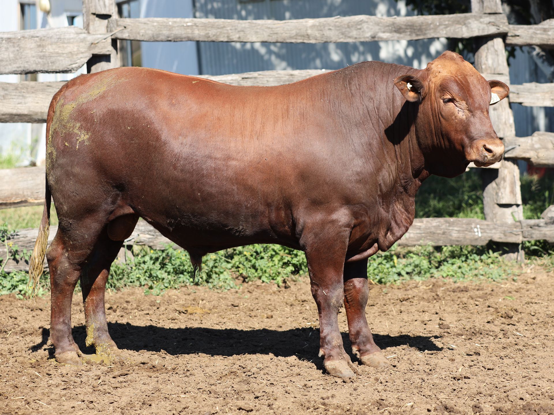LOT 3 RJS240199