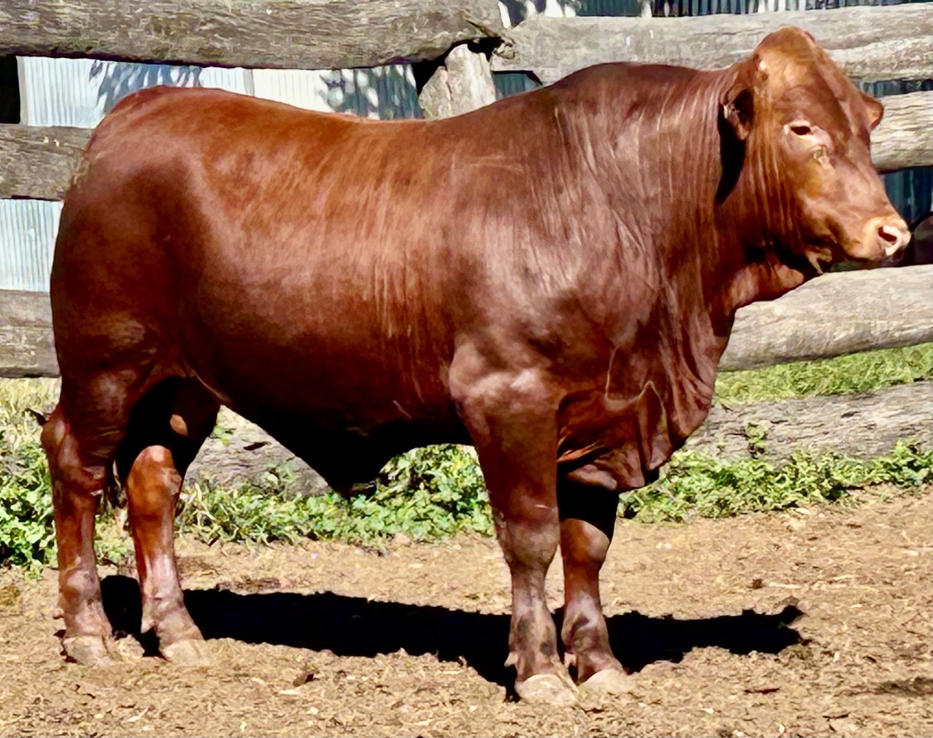 LOT 33 RJS240185