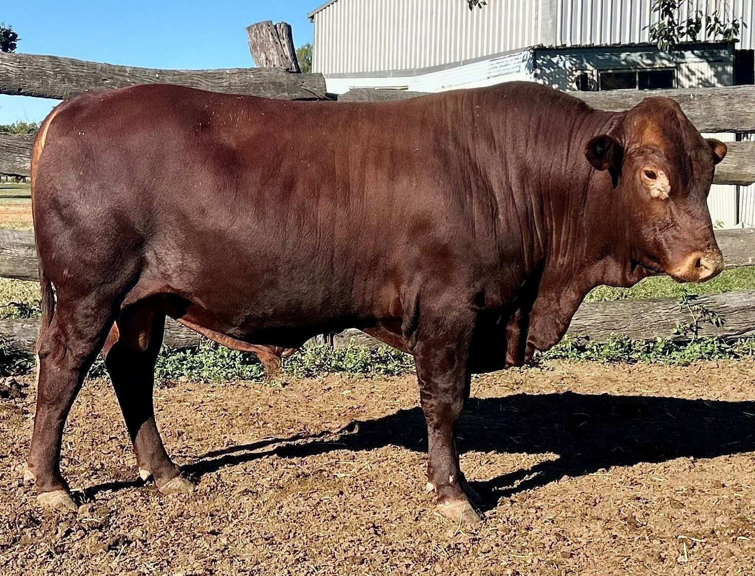 LOT 25 RJS240043