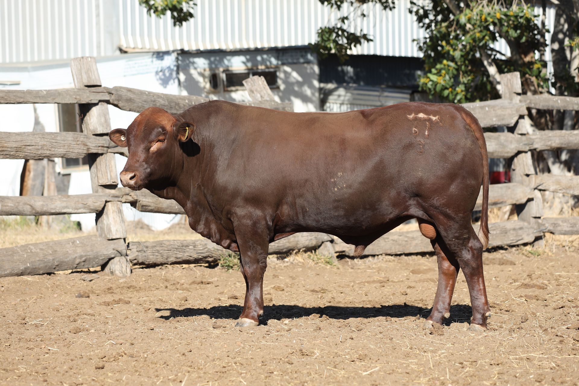 Lot 28 RJS220161